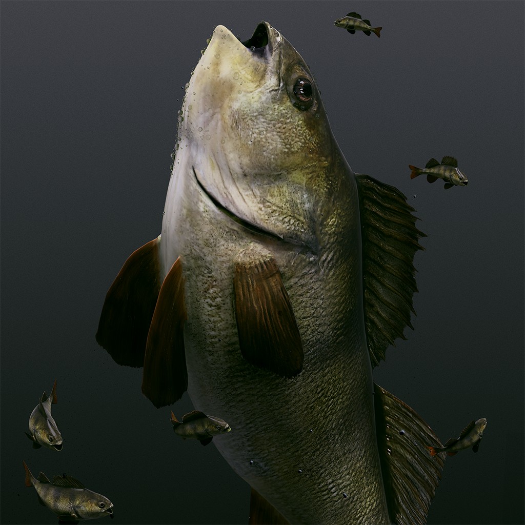 Fish Perch preview image 1
